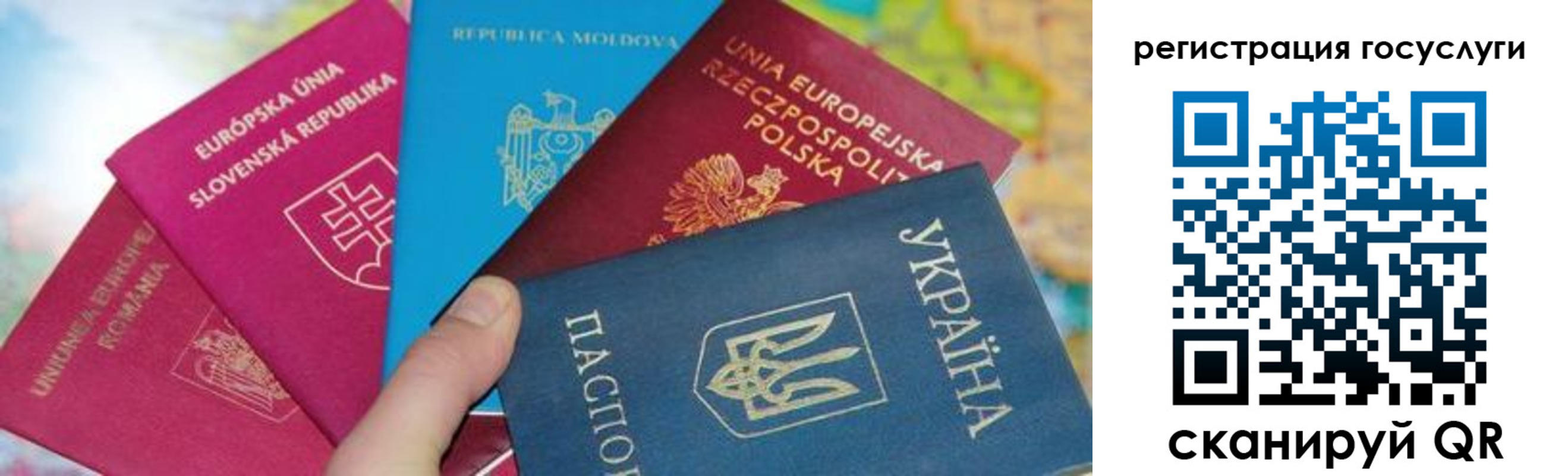 прописка гарантия в Жирновске